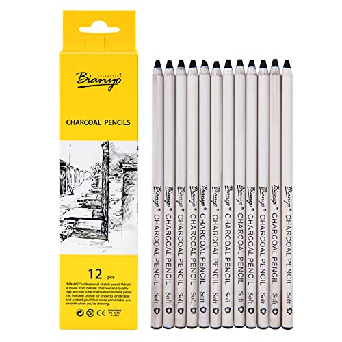 Like it Bianyo 12Pcs Professional Soft Medium Pastel Pencil Wood Black