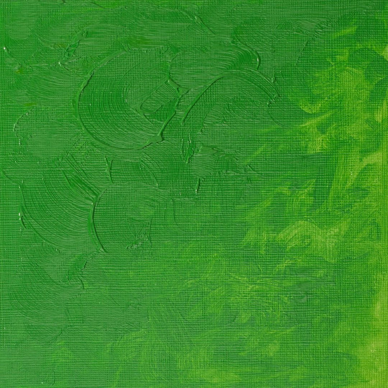 Winsor & Newton Winton Oil Colour, Permanent Green Light (483)  - 37 ml