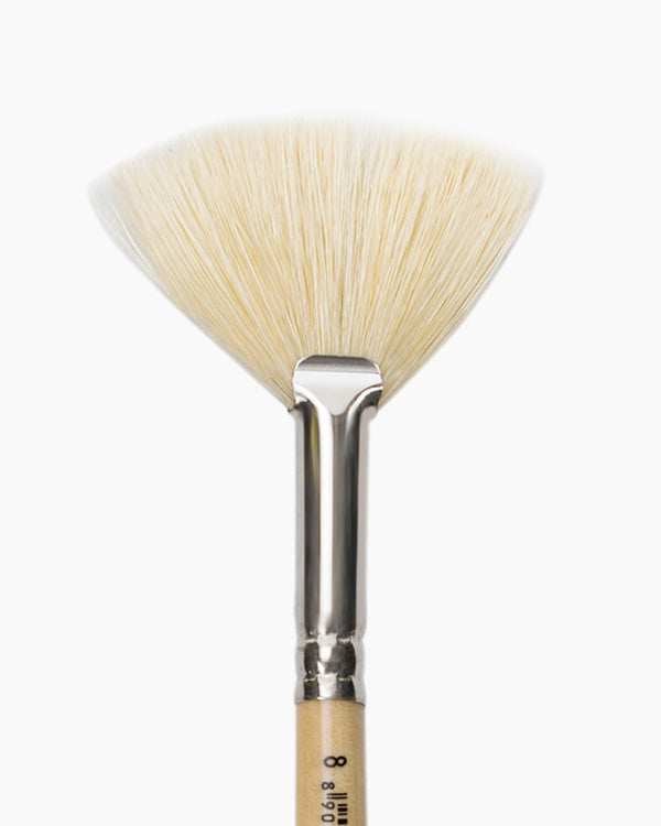 Camlin White Bristle Brushes Individual brush No 8, Fan - Series 56