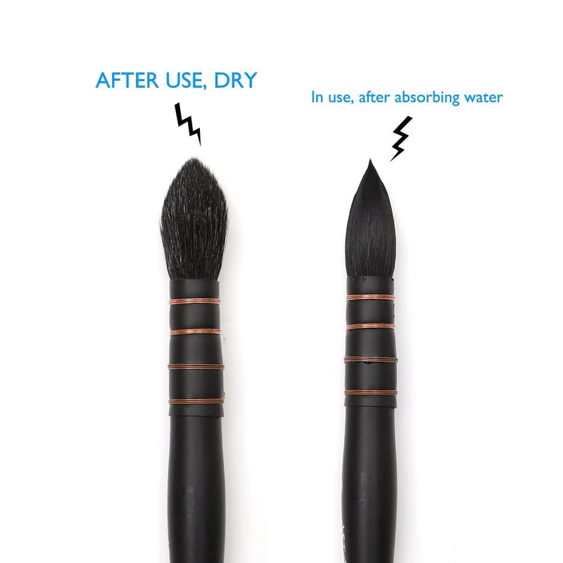 Like it Artists Acrylic, Watercolor, Gouache, Oil Professional Premium Synthetic Hair MOP Brushes (Size 12) Matte Black Wood