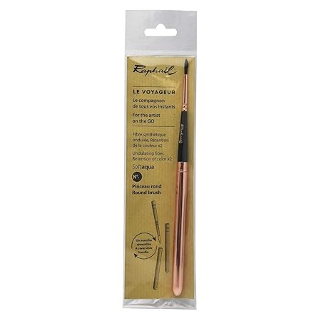 Raphael Precision Soft Synthetic Pocket Travel Brush with Reversible Handle Size – 6