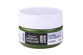 Brustro Professional Artists ’ Heavybody Acrylic Paint 50Ml Sap Green (Sr 3)