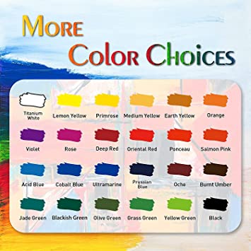 HIMI Acrylic Paint Set Colors/Bottles (60ml,2 oz) Non toxic No Fading Rich Pigment for Kids Adults Artists Canvas Crafts Wood Painting Colors/Bottles (Set of 12)