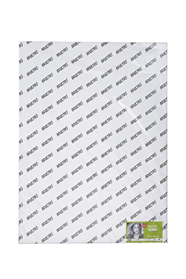 Brustro Artists' Drawing Paper 200 gsm Imperial Size (56 x76 cm OR 22 x29.9 inches) (20 sheets)