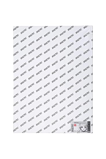 Brustro Bristol Ultra Smooth paper 250 Gsm Imperial Size (56 x76 cm OR 22 x29.9 inches) (10 Sheets)