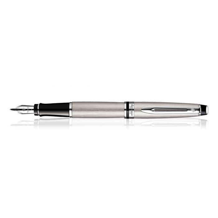 Waterman Expert SS Chrome Trim  Fountain Pen Fine Nib