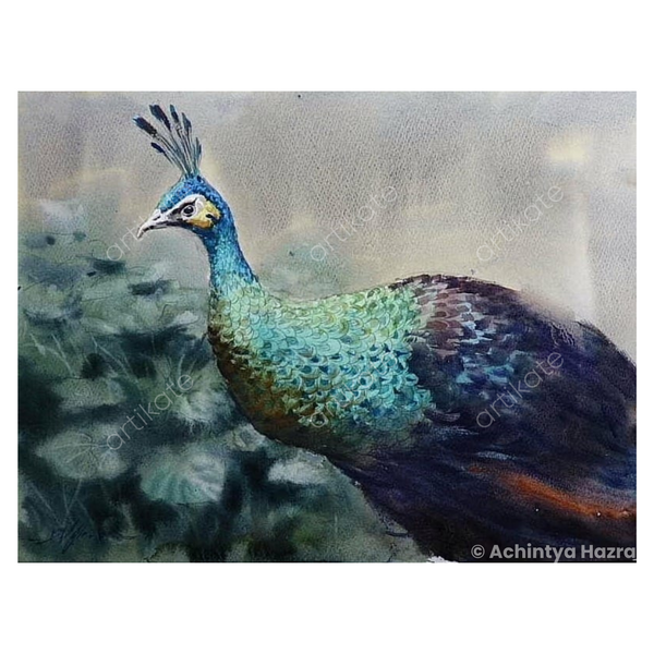 Peacock by Achintya Hazra