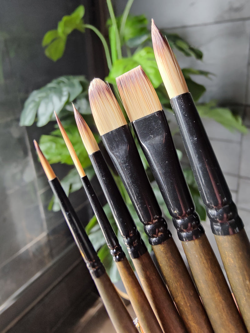 Brustro AquaStrokes Artist Brushes for Watercolour Gouache and Acrylics, Brush Set of 6