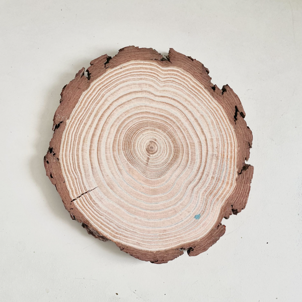 Natural Wood Slice With Bark