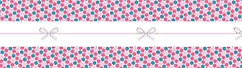 mt Washi Japanese Wrapping paper, Noshi Kikko , 155 mm x 5 mtrs (Pack of 1)