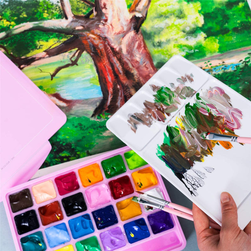 HIMI Gouache Paint Set, 56 Colors x 30ml Include 8 Metallic and 6 Neon  Colors
