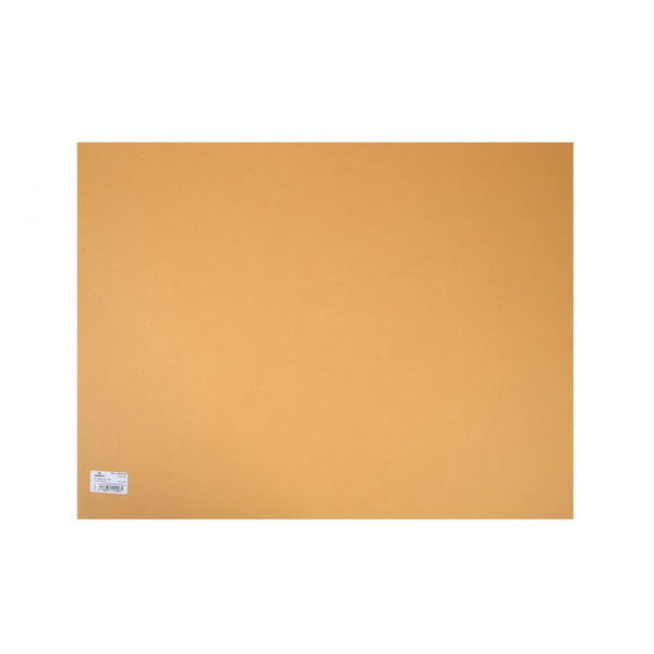 Canson Colorline 300 GSM Grainy 50 x 65 cm Coloured Drawing Paper Sheets(Leather, 10 Sheets)