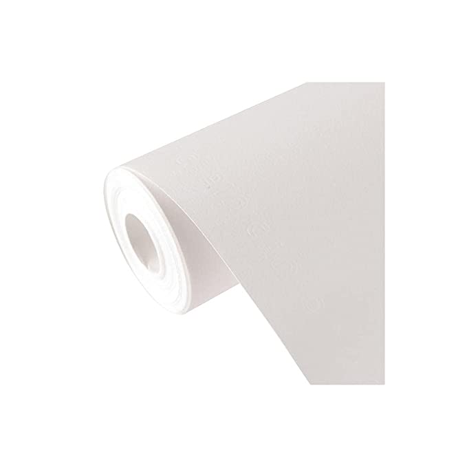 Canson C à Grain Drawing 180 GSM Fine Grain 1.5 x 10 M Paper Roll(Natural White, 1 Roll)