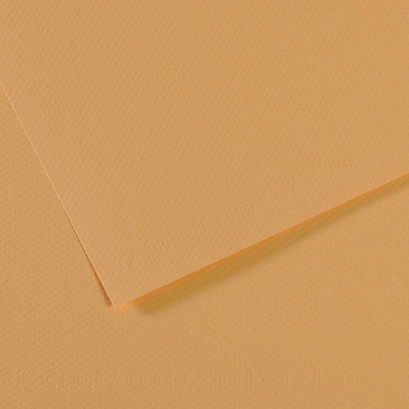 Canson Mi-Teintes 160 GSM Honeycomb Grain A4 21x29.7cm; Coloured Drawing Paper (10 Sheets, Oyster)