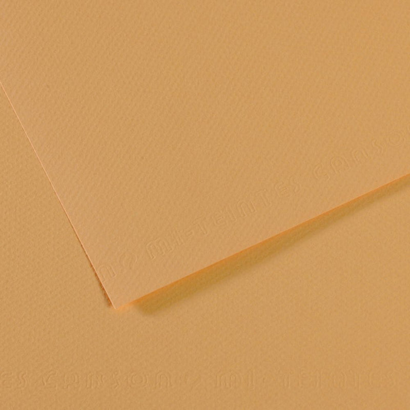 Canson Mi-Teintes 160 GSM Embossed 50 x 65 Coloured Paper Sheets (Osyter,25 Sheets)