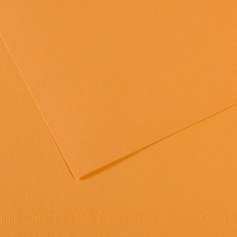 Canson Mi-Teintes 160 GSM Embossed 50 x 65 cm Coloured Paper Sheets (Hemp,25 Sheets)