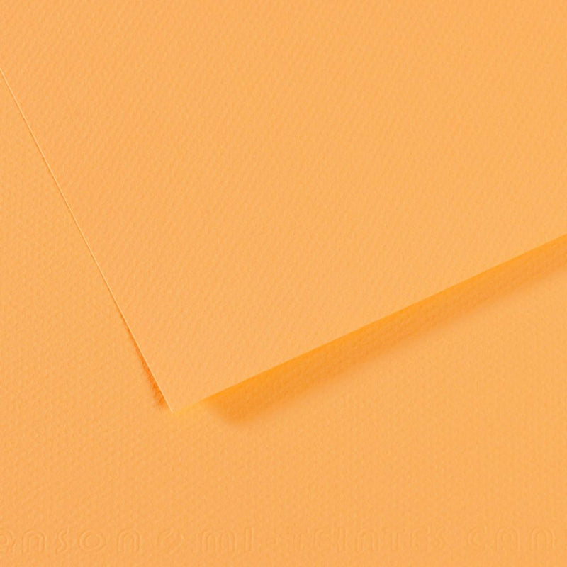 Canson Mi-Teintes 160 GSM Embossed 50 x 65 cm Coloured Paper Sheets (Champagne,25 Sheets)