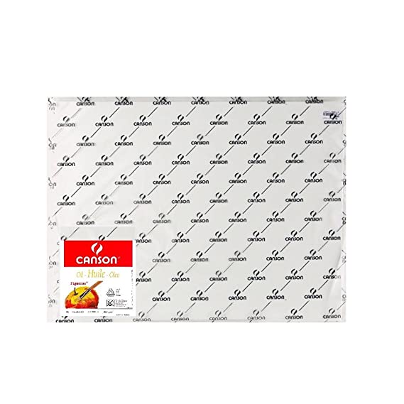 Canson Figueras Oil 290 GSM Canvas Grain 65 x 100 cm Paper Sheets (White, 12 Sheets)
