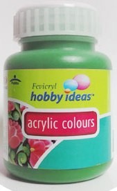 Fevicryl Acrylic Colour 100 ml No-12 Light Green