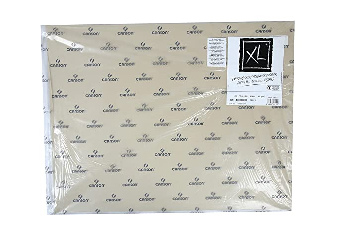 Canson XL Kraft 90 GSM Laid 50 x 65 cm Paper Sheets(White, 25 Sheets)
