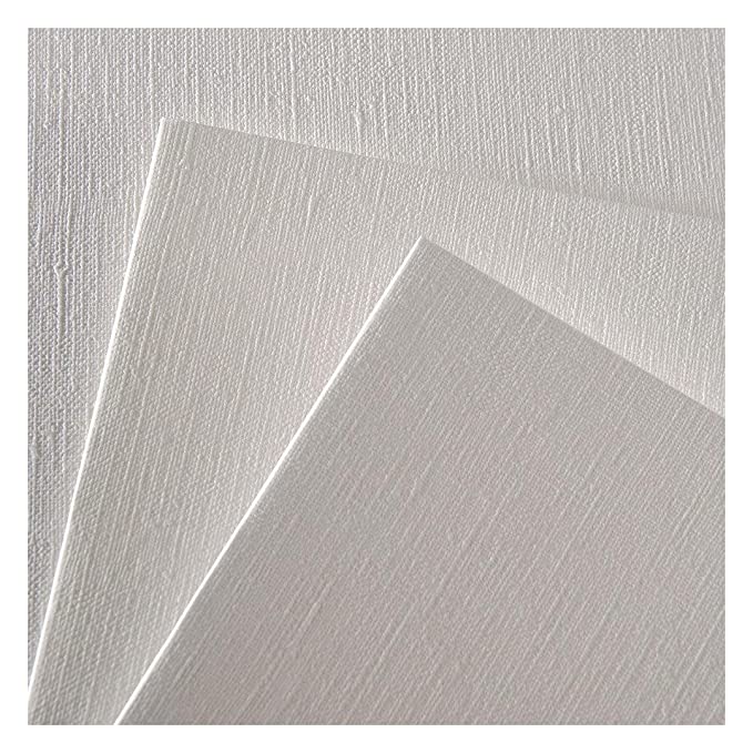 Canson Figueras Oil 290 GSM Canvas Grain 65 x 100 cm Paper Sheets (White, 12 Sheets)