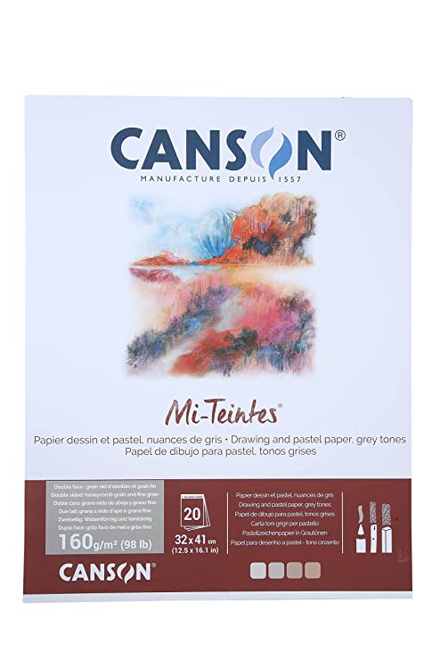 Canson Mi-Teintes 160 GSM A3 Pad (12.5x16.1 in, Grey Tones, 20 Sheets)