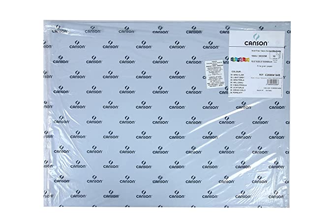 Canson Colorline 300 GSM Grainy 50 x 65 cm Coloured Drawing Paper Sheets(Light Grey, 10 Sheets)