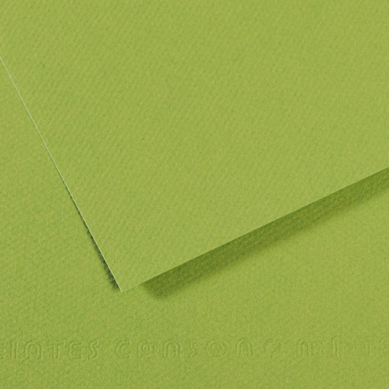 Canson Mi-Teintes 160 GSM Embossed 50 x 65 cm Coloured Paper Sheets (Apple Green,25 Sheets)