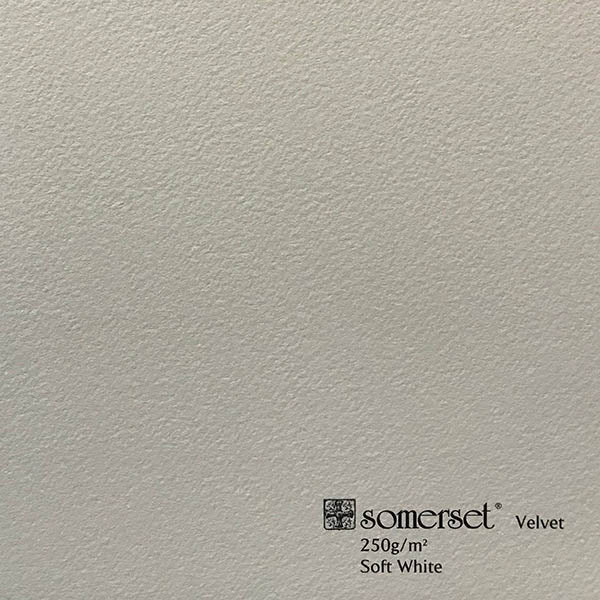 Somerset St Cuthberts Mill Velvet Soft White (4 Deckle Edges) 250 GSM, 560x760mm (22" x 30") Pack of 10