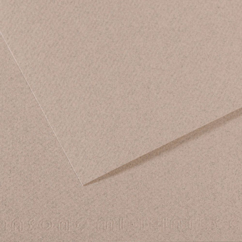 Canson Mi-Teintes 160 GSM Embossed 50 x 65 cm Coloured Paper Sheets (Moonstone,25 Sheets)