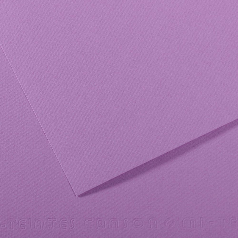 Canson Mi-Teintes 160 GSM Embossed 50 x 65 cm Coloured Paper Sheets (Blueberry,25 Sheets)