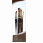 Bomeijia Round Best Artist Paint Brush Set (6 Brushes) for Acrylic, Watercolor Oil Painting by Bomega Artist Brush