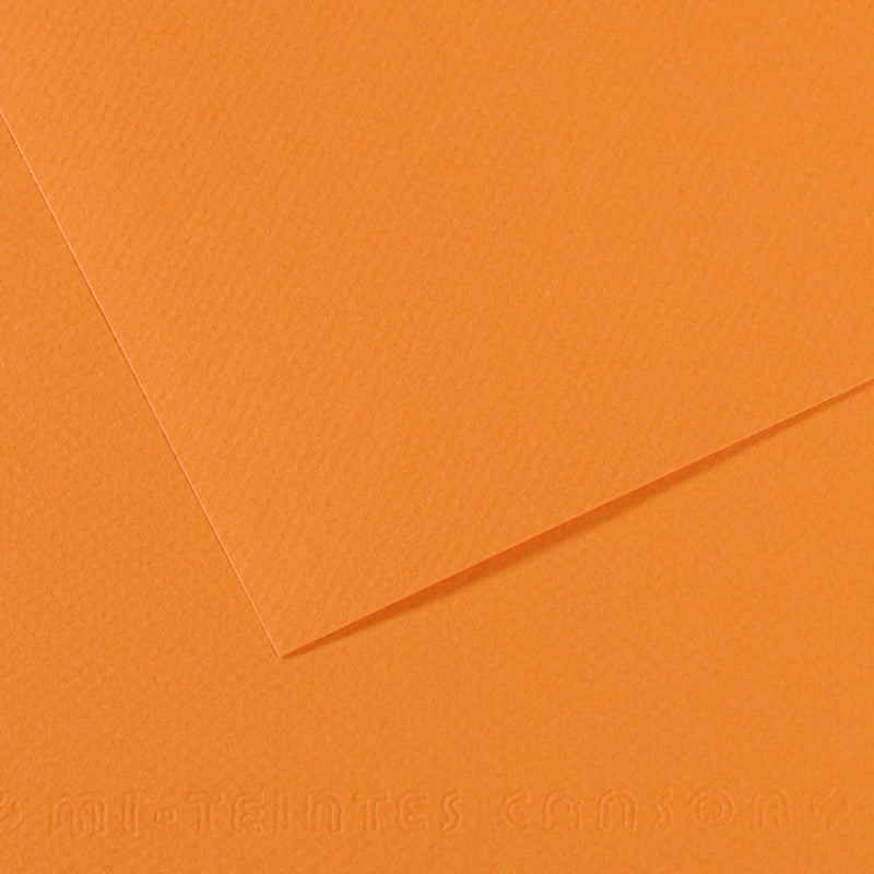 Canson Mi-Teintes 160 GSM Embossed 50 x 65 cm Coloured Paper Sheets (Buff,25 Sheets)