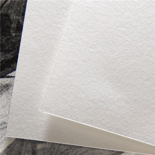 Canson Barbizon 250 GSM 50 x 70 cm Printmaking Paper Sheets (25 Sheets, Natural White)