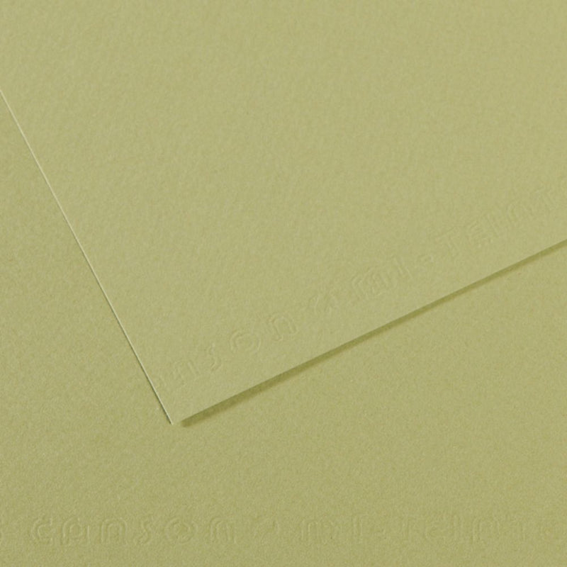 Canson Mi-Teintes 160 GSM Embossed 50 x 65 cm Coloured Paper Sheets (Light Green,25 Sheets)