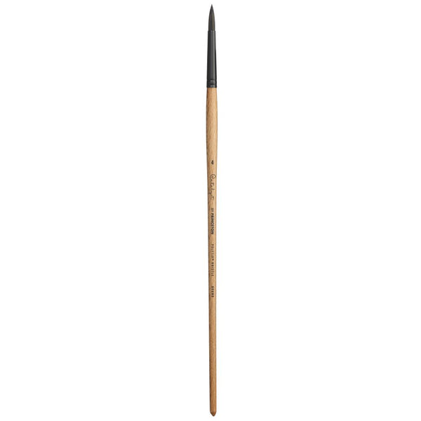 Princeton Catalyst Long Handle Flat Paint Brush (No 4)