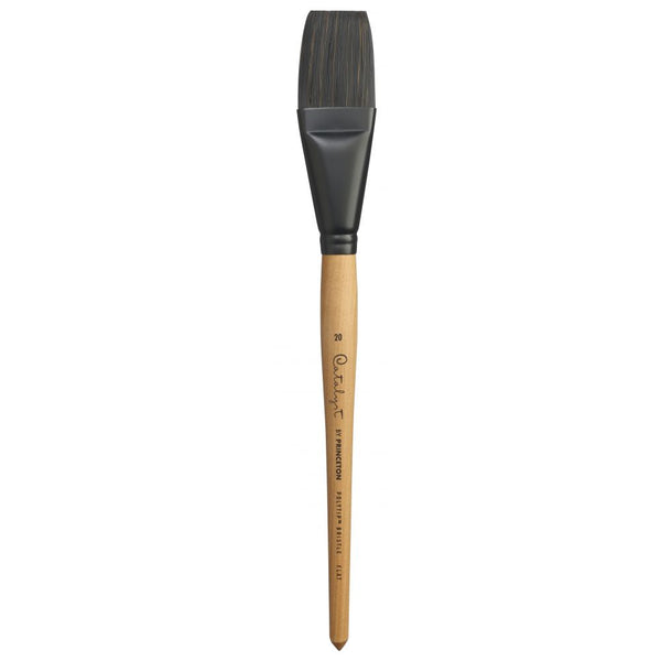 Princeton Catalyst Long Handle Flat Paint Brush (No 20)