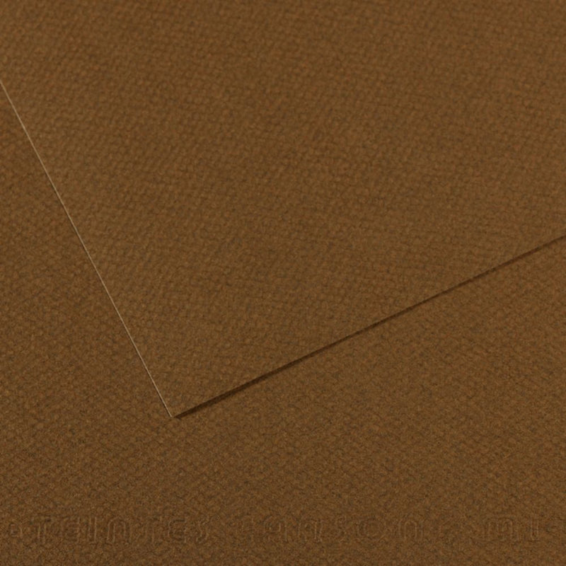 Canson Mi-Teintes 160 GSM Embossed 50 x 65 cm Coloured Paper Sheets (Tobacco,25 Sheets)