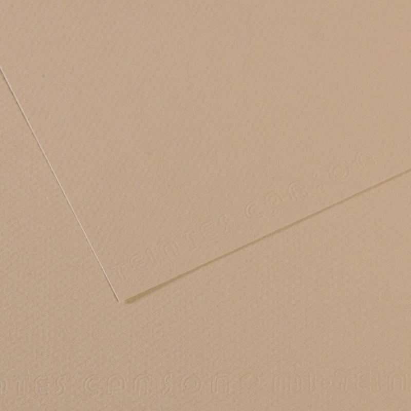 Canson Mi-Teintes 160 GSM Honeycomb Grain A4 21x29.7cm; Coloured Drawing Paper (10 Sheets, Pearl)