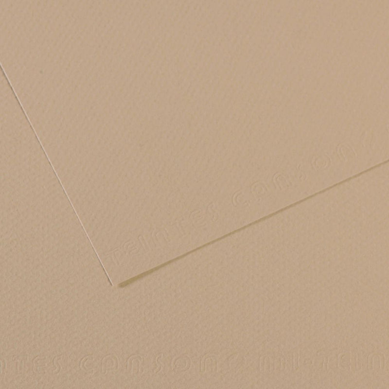 Canson Mi-Teintes 160 GSM Embossed 50 x 65 cm Coloured Paper Sheets (Pearl,25 Sheets)