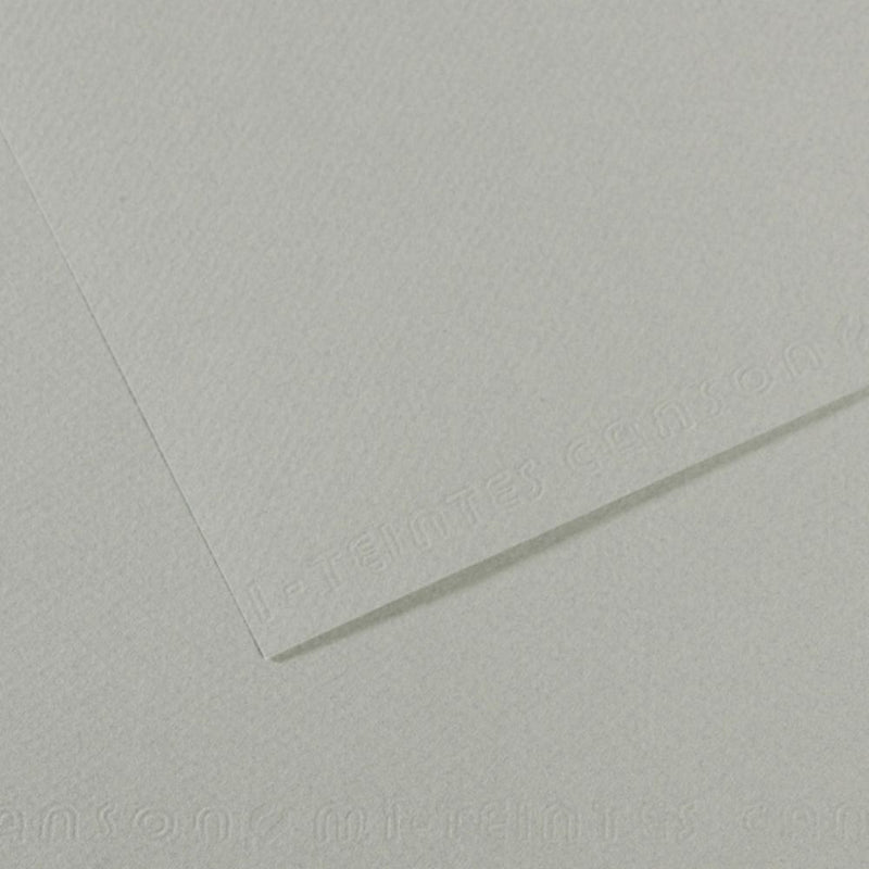 Canson Mi-Teintes 160 GSM Embossed 50 x 65 cm Coloured Paper Sheets (Sky Grey,25 Sheets)