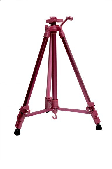 Asint Assorted Color Portable & Folding Art Easel Tripod Stand with Adjustable Height in Nylon Carry Case