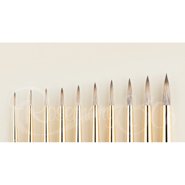 ROSEMARY ECLIPSE POINTED ROUNDS BRUSH SIZE 8