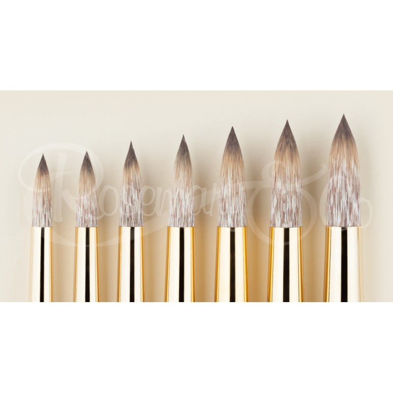 ROSEMARY ECLIPSE POINTED ROUNDS BRUSH SIZE 8