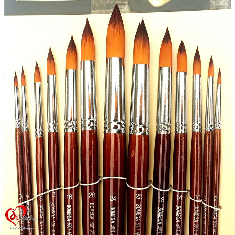 Bomeijia Round Best Artist Paint Brush Set (13 Brushes) for Acrylic, Watercolor Painting by Bomega Artist Brush