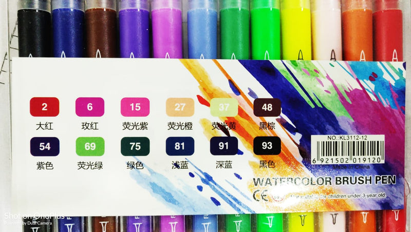ASINT Watercolor Brush Pens Dual Tip Set (12 Color) with Fineliners, Art Markers, and Highlighters for Adult Coloring Books, Art, Sketching, Calligraphy, Manga, Bullet Journal