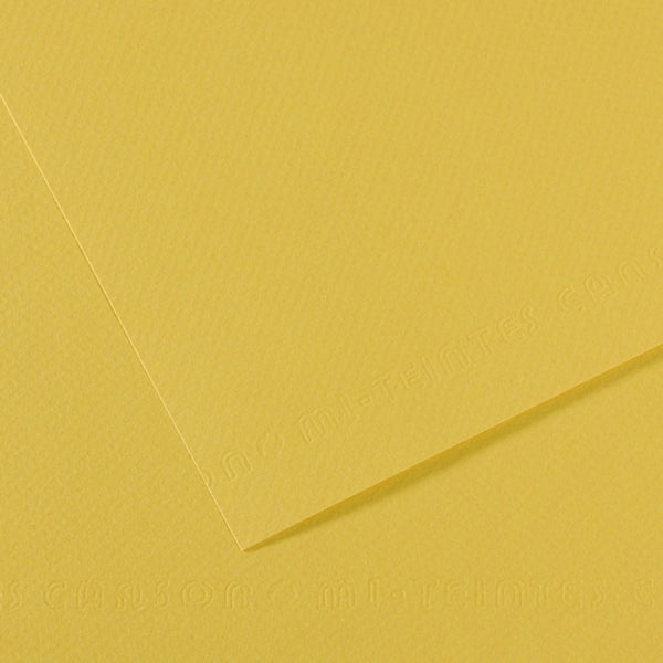 Canson Mi-Teintes 160 GSM Embossed 50 x 65 cm Coloured Paper Sheets (Anis,25 Sheets)