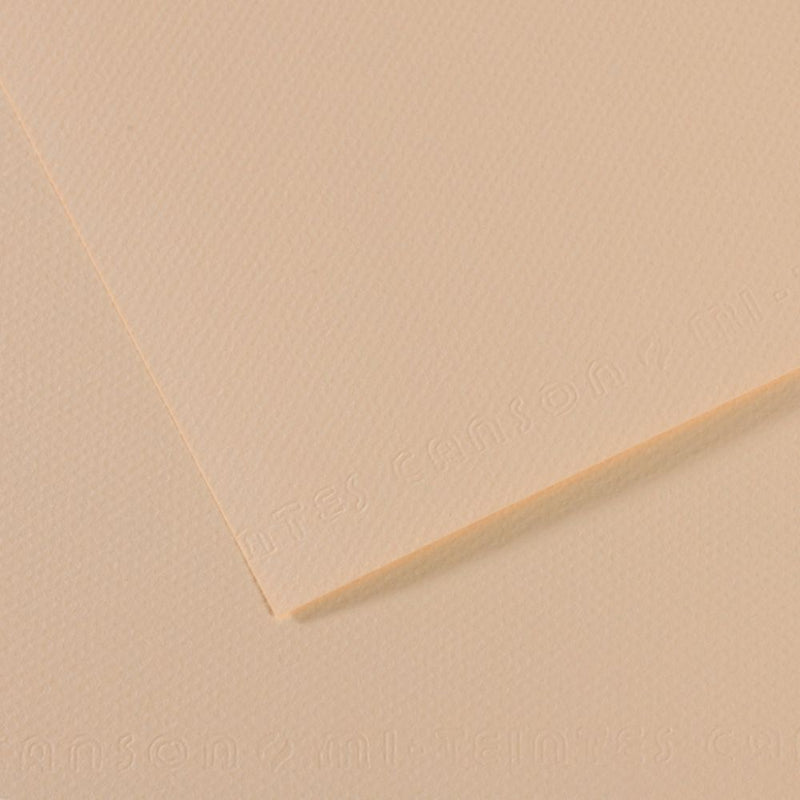 Canson Mi-Teintes 160 GSM Embossed 50 x 65 cm Coloured Paper Sheets (Eggshell,25 Sheets)