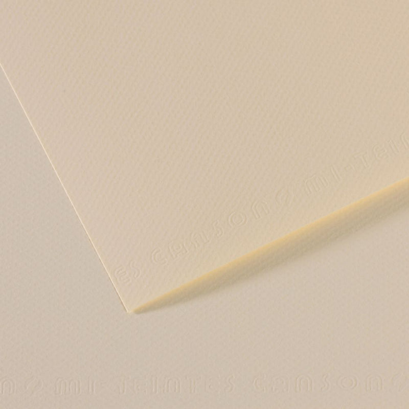 Canson Mi-Teintes 160 GSM Honeycomb Grain A4 21x29.7cm; Coloured Drawing Paper (10 Sheets, Lily)