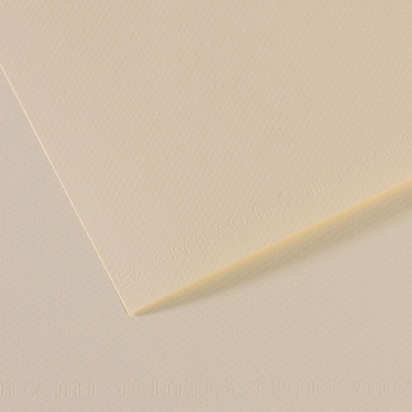 Canson Mi-Teintes 160 GSM Embossed 50 x 65 cm Coloured Paper Sheets (Lily,25 Sheets)
